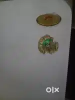 Old freez double  doors