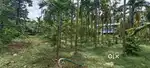 ANGAMALY APOLLO HOSPITAL NEAR BY 5,6,8, 10 CENT PLOTS AVAILABLE