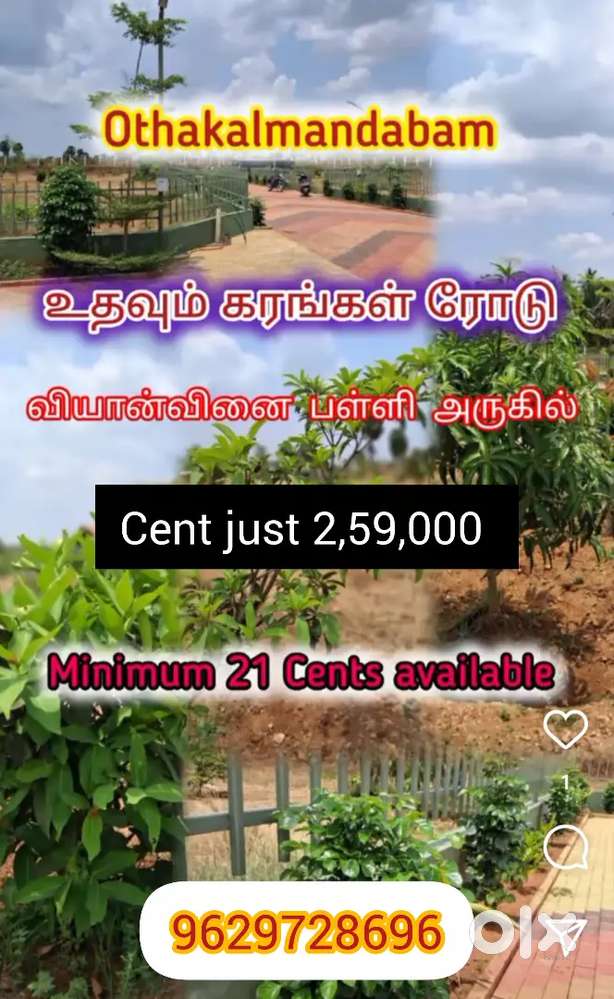 பழமுதிர் farmland ஒத்தக்கால் மண்டபம்
