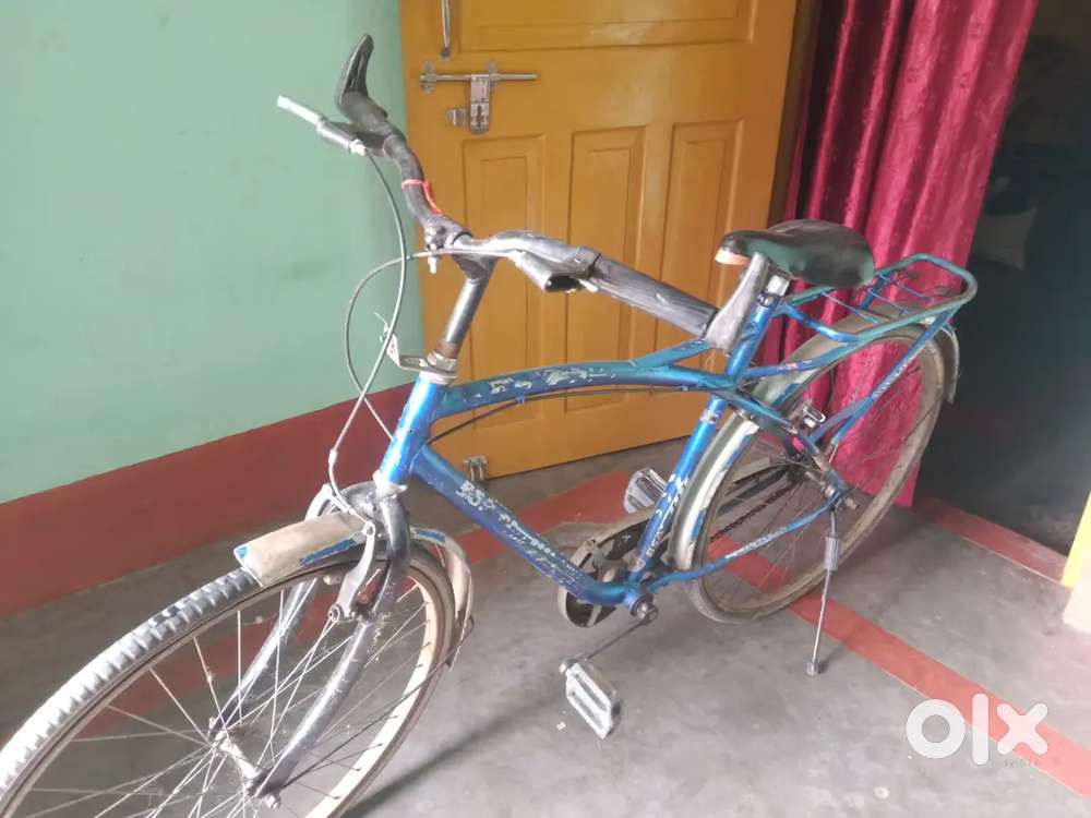 Renger cycle