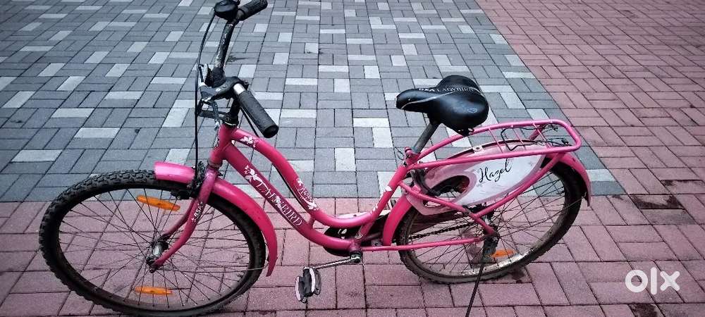 Ladybird cycle and avon cycle