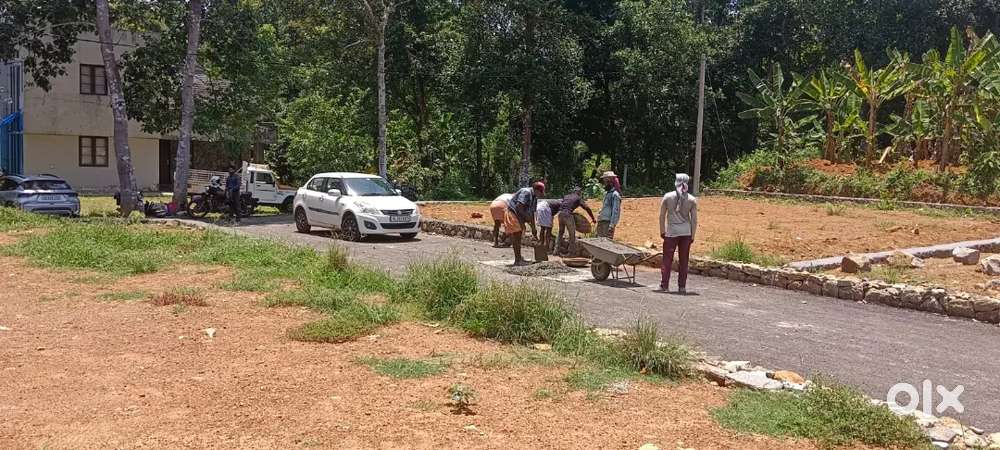 Plot near Angamaly – ₹1.6L/Cent, Dry Land, Loan Facility