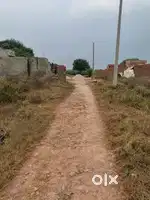 Anguthi bichpuri