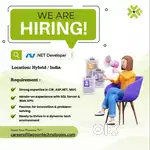 Dot net Developer