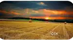 Land for sale 33 cents in Bada nidiyoor santekatte