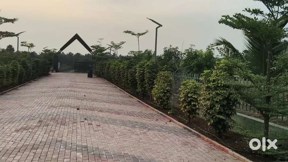 ஒத்தகால்மண்டபம் அருகில் 18சென்ட் 49 லட்சம் மட்டுமே (20 types of trees)