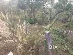 Land/plot fore sale in wnadoor, malappuram