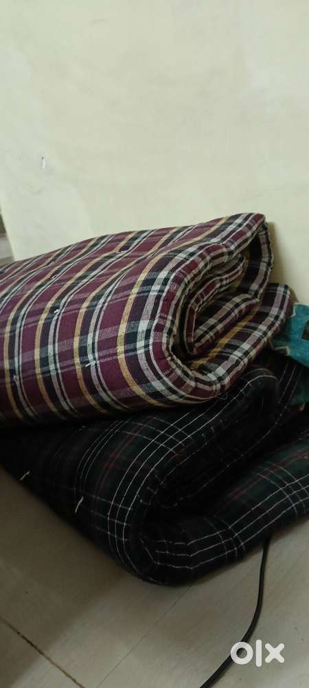 Cotton Cution