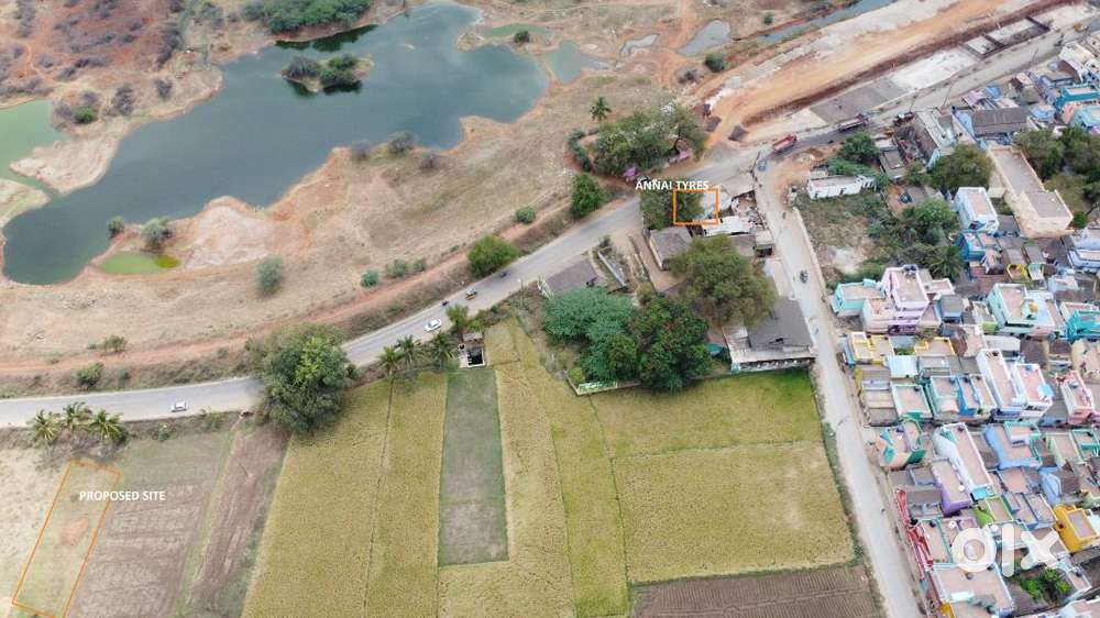 Jawa 42 Dual ABS Galatic Green