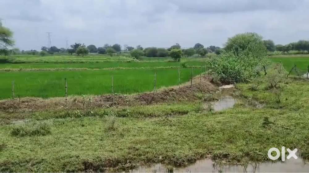 Kheti jamin bechna hai seepat k darrabhata gav me 4ekad khet bechna h