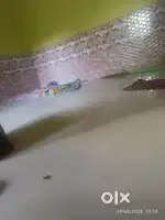 1 bhk room rent