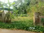 KANGARAPPADY 8 CENTS HOUSE PLOT FOR SALE.