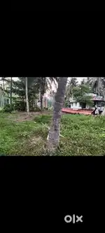 10 send plot for sale