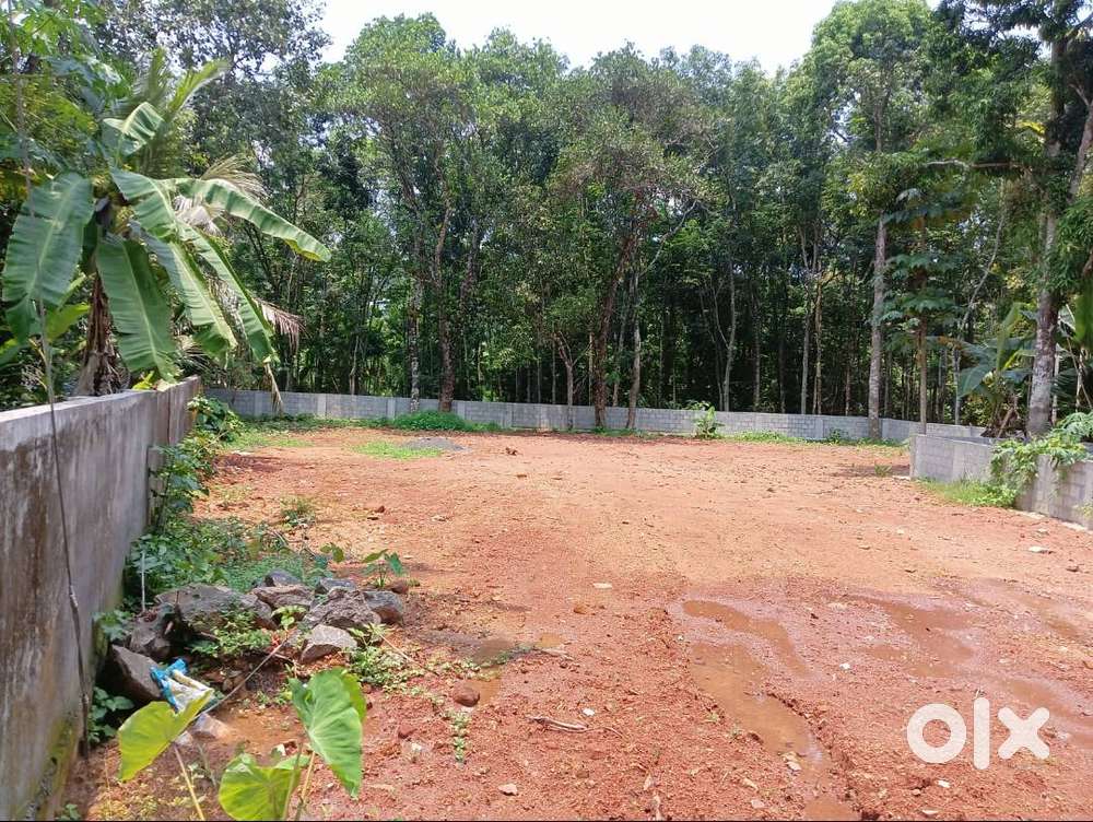 17 Cent Land for Sale Near Pallikara Vembilly