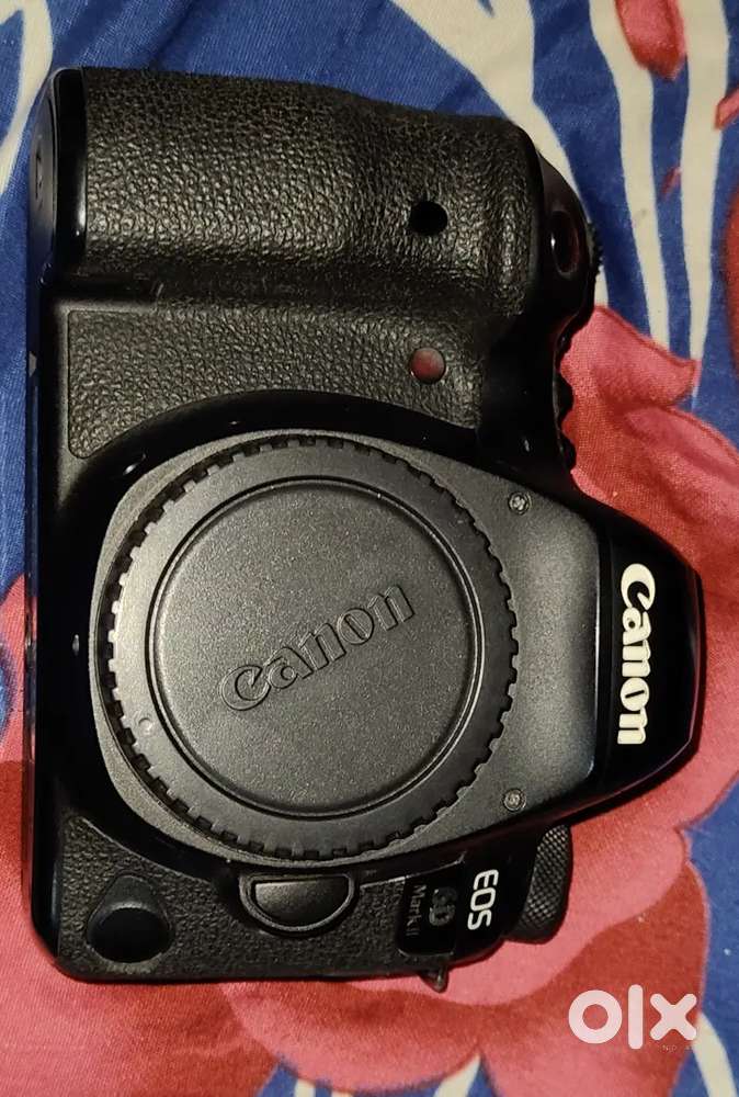 Canon 6D ii only body