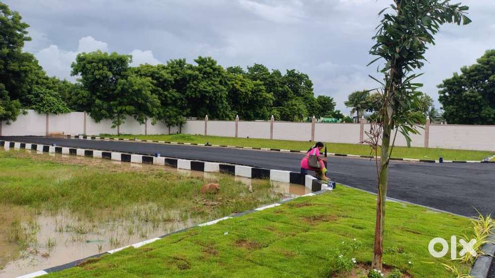 Plot For Sale in Thiruninravur