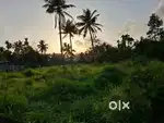 96 cent land for sale near Thaikkattukara Aluva