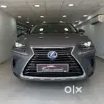 Lexus NX 300h, 2021, Petrol