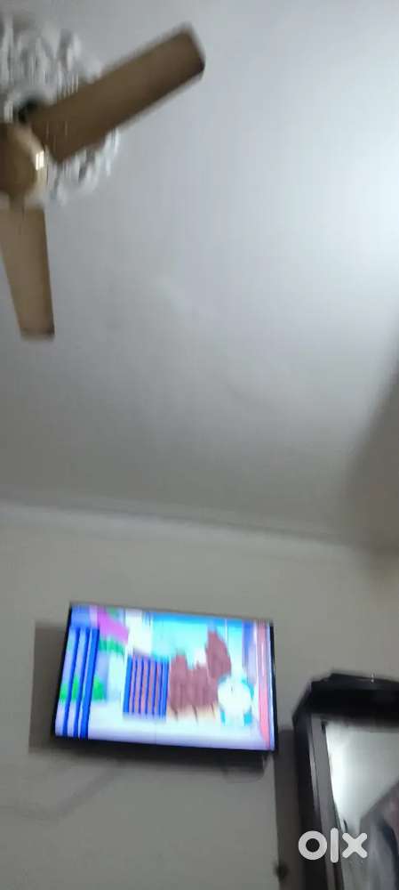 I need a room mate (male)