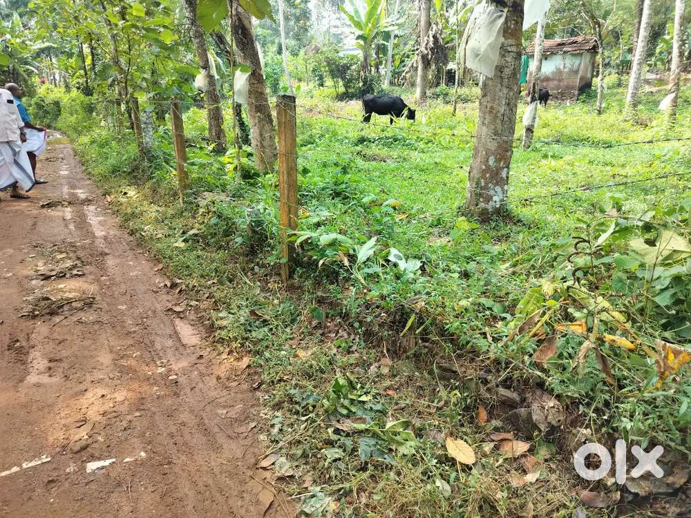 Pampady.10.15.20.cent.houseplot.centinu.140000