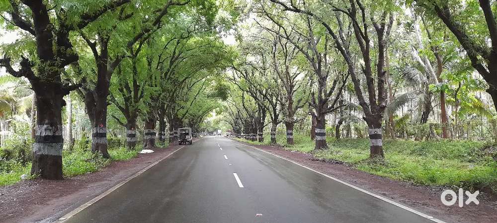 3 Acre Land For Sale Near Mulanthuruthy Ernakulam Kochi Kerala