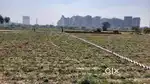 @3500/- par Gaj plot Price Sec-150 Noida ON FNG Six Line Highway par