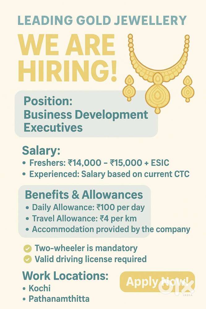 Business Development Executives