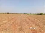7 कट्ठा एग्रिकल्चर लैंड
