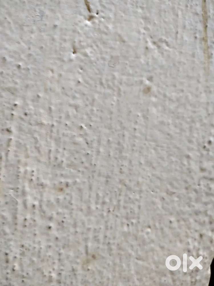 Shop for rent for godown purpose or office purpos