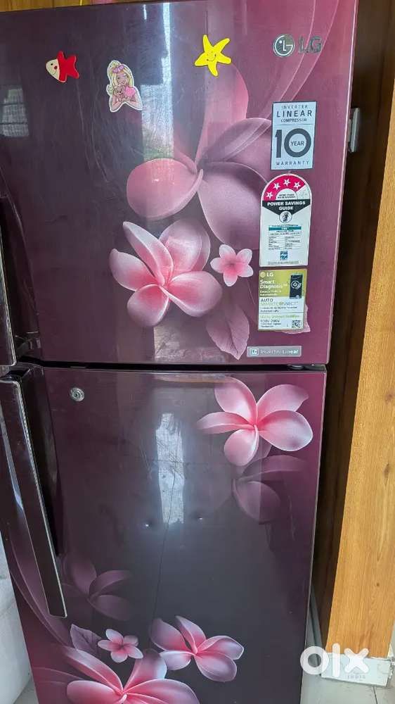 Lg double door fridge