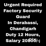 Factory Security Guard Job chandigarh