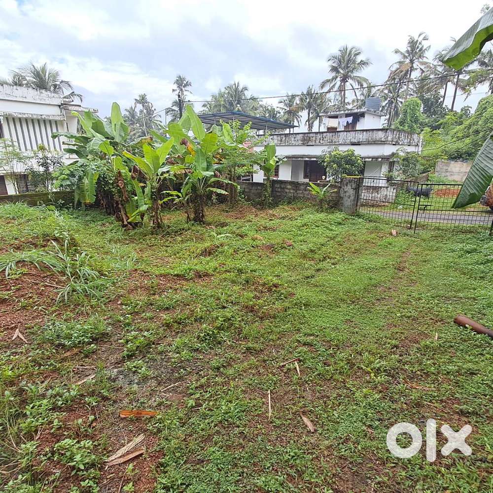 ആനക്കല്ലിൽ 4 സെൻ്റ്