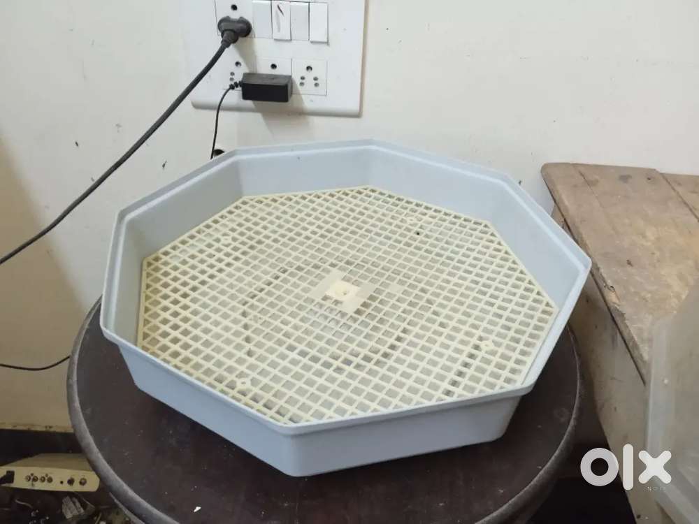 Egg incubator