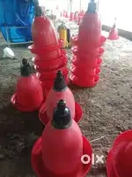 Poultry meteril