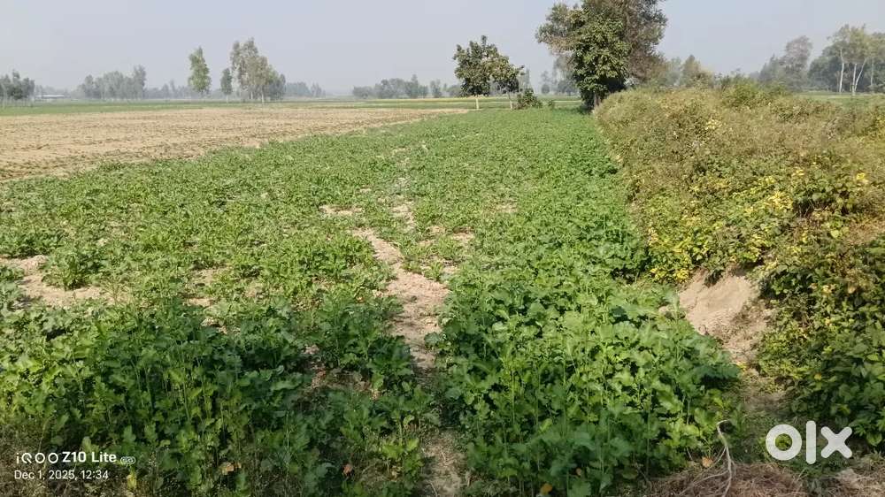 Agreecultural land for sale