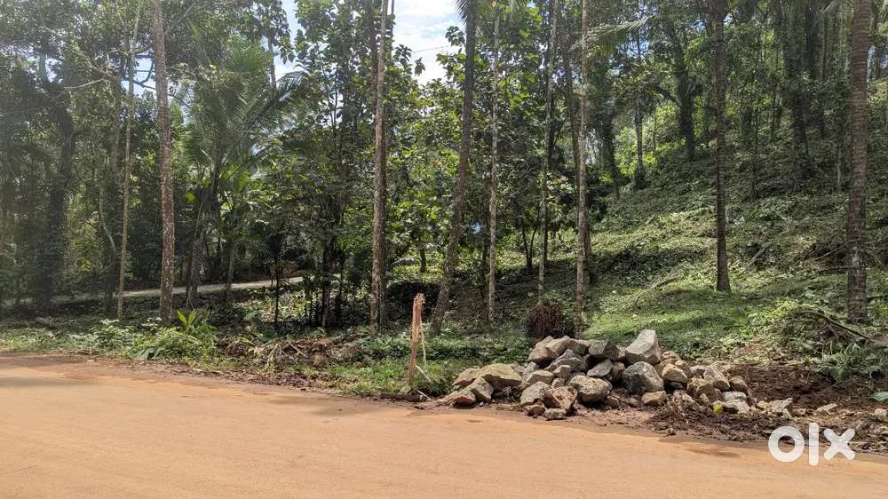 Road Side Plot For Sale