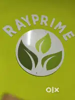 COMPANY: Ray prime wealth pvt ltd,
JOB ROLE : TEAM LEADER, TELECALLER,