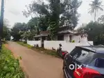 Nedumbassery near athani 3 bhk independent house for rent