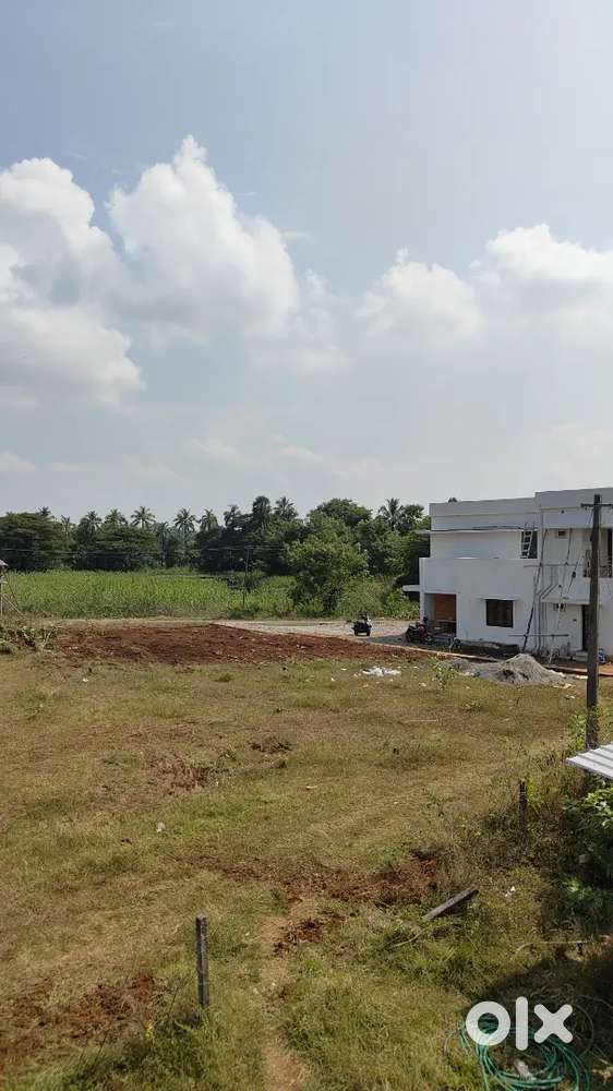 Plot for sale chittur