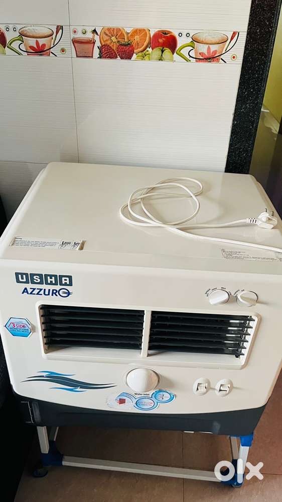 BRAND, Usha