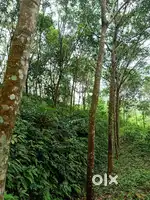 45 Cent Land for Sale