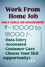 Online Job and Income