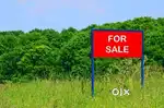 Puthur 15 cent plot (zoological park)with small house