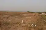 Prime Residencial plots in Navi Dombivli -MMRDA-High returns