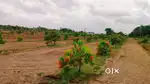 જમીન વેચવાની છે