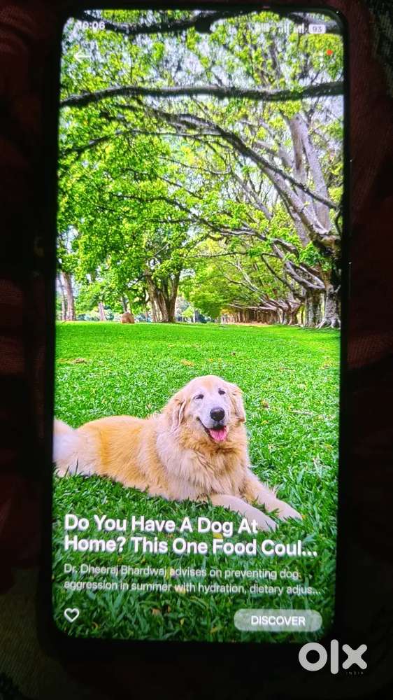 Oppo Reno 11 8 256 1 year old New condition phone