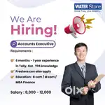 Required Accounts Executive