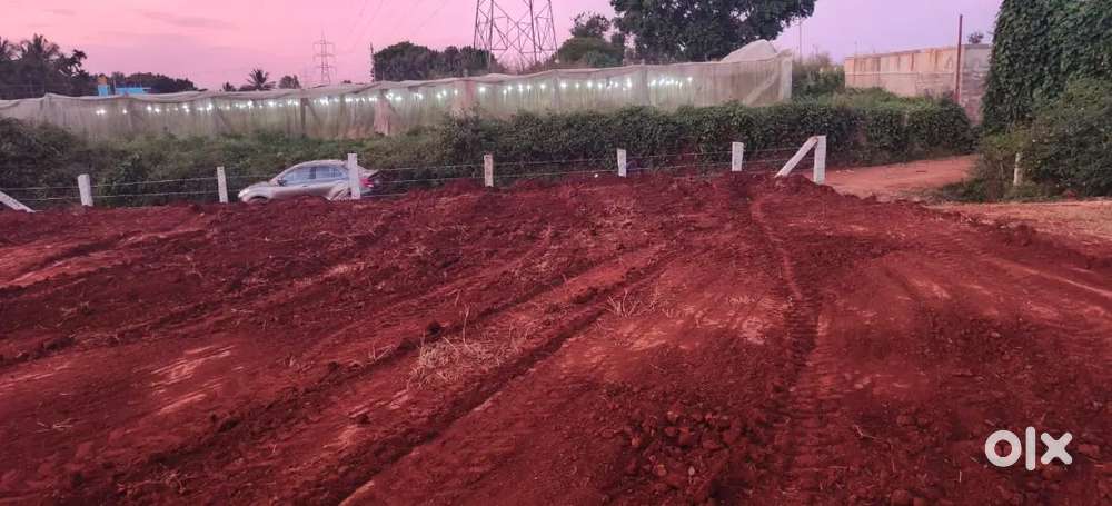 Beautiful 16 gunta fenced property near hesaraghatta border