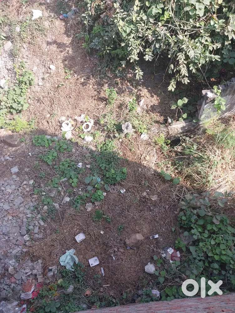 Mandi Samiti ke samne Petrol pump ke barabar se Rasta gaya hai