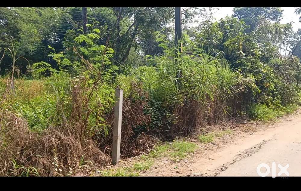 Puzhakkal, near lulu mall